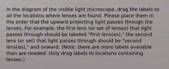 In the diagram of the visible light microscope, drag the labels to all the locations where lenses are found. Please place them in the order that the upward projecting light passes through the lenses. For example, the first lens (or set of lenses) that light passes through should be labeled "First lens(es)," the second lens (or set) that light passes through should be "second lens(es)," and onward. (Note: there are more labels available than are needed. Only drag labels to locations containing lenses.)