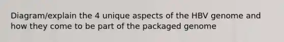 Diagram/explain the 4 unique aspects of the HBV genome and how they come to be part of the packaged genome