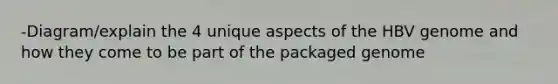 -Diagram/explain the 4 unique aspects of the HBV genome and how they come to be part of the packaged genome