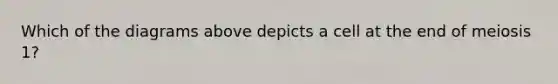 Which of the diagrams above depicts a cell at the end of meiosis 1?