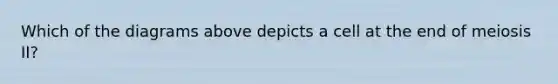 Which of the diagrams above depicts a cell at the end of meiosis II?