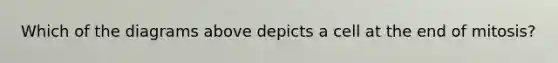 Which of the diagrams above depicts a cell at the end of mitosis?
