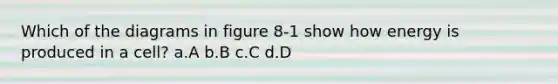 Which of the diagrams in figure 8-1 show how energy is produced in a cell? a.A b.B c.C d.D