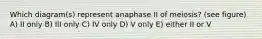 Which diagram(s) represent anaphase II of meiosis? (see figure) A) II only B) III only C) IV only D) V only E) either II or V