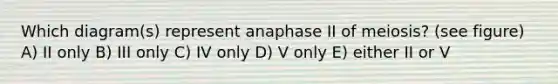 Which diagram(s) represent anaphase II of meiosis? (see figure) A) II only B) III only C) IV only D) V only E) either II or V