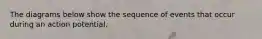 The diagrams below show the sequence of events that occur during an action potential.