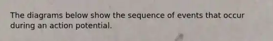 The diagrams below show the sequence of events that occur during an action potential.