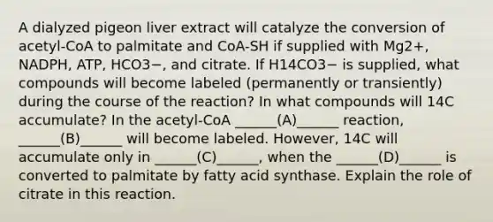 A dialyzed pigeon liver extract will catalyze the conversion of acetyl-CoA to palmitate and CoA-SH if supplied with Mg2+, NADPH, ATP, HCO3−, and citrate. If H14CO3− is supplied, what compounds will become labeled (permanently or transiently) during the course of the reaction? In what compounds will 14C accumulate? In the acetyl-CoA ______(A)______ reaction, ______(B)______ will become labeled. However, 14C will accumulate only in ______(C)______, when the ______(D)______ is converted to palmitate by fatty acid synthase. Explain the role of citrate in this reaction.