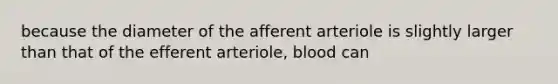 because the diameter of the afferent arteriole is slightly larger than that of the efferent arteriole, blood can