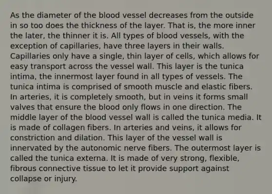 As the diameter of the blood vessel decreases from the outside in so too does the thickness of the layer. That is, the more inner the later, the thinner it is. All types of blood vessels, with the exception of capillaries, have three layers in their walls. Capillaries only have a single, thin layer of cells, which allows for easy transport across the vessel wall. This layer is the tunica intima, the innermost layer found in all types of vessels. The tunica intima is comprised of smooth muscle and elastic fibers. In arteries, it is completely smooth, but in veins it forms small valves that ensure the blood only flows in one direction. The middle layer of the blood vessel wall is called the tunica media. It is made of collagen fibers. In arteries and veins, it allows for constriction and dilation. This layer of the vessel wall is innervated by the autonomic nerve fibers. The outermost layer is called the tunica externa. It is made of very strong, flexible, fibrous connective tissue to let it provide support against collapse or injury.