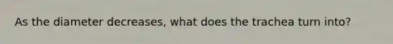 As the diameter decreases, what does the trachea turn into?