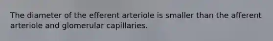 The diameter of the efferent arteriole is smaller than the afferent arteriole and glomerular capillaries.