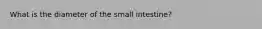 What is the diameter of the small intestine?