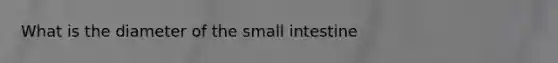 What is the diameter of the small intestine