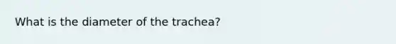 What is the diameter of the trachea?