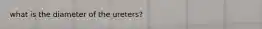 what is the diameter of the ureters?