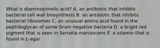 What is diaminopimelic acid? A. an antibiotic that inhibits bacterial cell wall biosynthesis B. an antibiotic that inhibits bacterial ribosomes C. an unusual amino acid found in the peptidoglycan of some Gram negative bacteria D. a bright red pigment that is seen in Serratia marcescens E. a vitamin that is found in L-agar