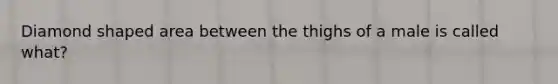 Diamond shaped area between the thighs of a male is called what?