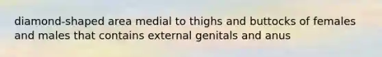 diamond-shaped area medial to thighs and buttocks of females and males that contains external genitals and anus