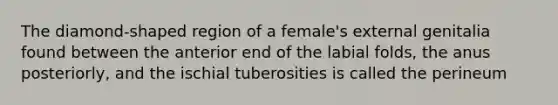 The diamond-shaped region of a female's external genitalia found between the anterior end of the labial folds, the anus posteriorly, and the ischial tuberosities is called the perineum