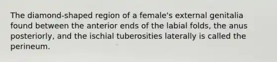 The diamond-shaped region of a female's external genitalia found between the anterior ends of the labial folds, the anus posteriorly, and the ischial tuberosities laterally is called the perineum.