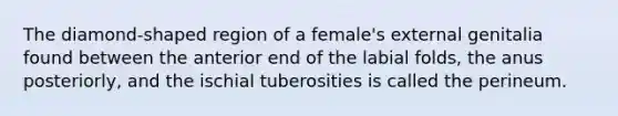 The diamond-shaped region of a female's external genitalia found between the anterior end of the labial folds, the anus posteriorly, and the ischial tuberosities is called the perineum.