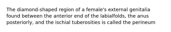 The diamond-shaped region of a female's external genitalia found between the anterior end of the labialfolds, the anus posteriorly, and the ischial tuberosities is called the perineum