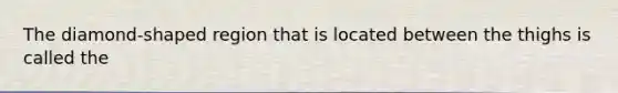 The diamond-shaped region that is located between the thighs is called the