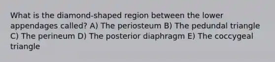 What is the diamond-shaped region between the lower appendages called? A) The periosteum B) The pedundal triangle C) The perineum D) The posterior diaphragm E) The coccygeal triangle