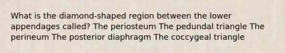 What is the diamond-shaped region between the lower appendages called? The periosteum The pedundal triangle The perineum The posterior diaphragm The coccygeal triangle