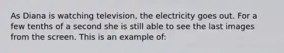 As Diana is watching television, the electricity goes out. For a few tenths of a second she is still able to see the last images from the screen. This is an example of: