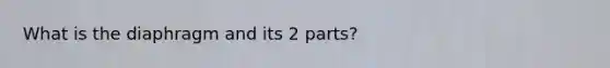 What is the diaphragm and its 2 parts?