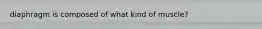 diaphragm is composed of what kind of muscle?