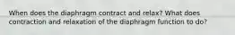 When does the diaphragm contract and relax? What does contraction and relaxation of the diaphragm function to do?