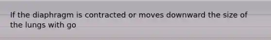 If the diaphragm is contracted or moves downward the size of the lungs with go