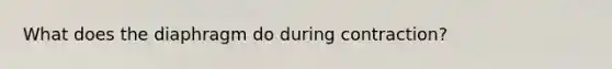 What does the diaphragm do during contraction?