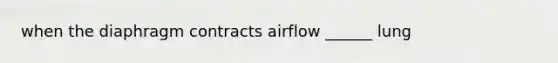 when the diaphragm contracts airflow ______ lung