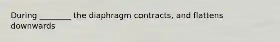 During ________ the diaphragm contracts, and flattens downwards