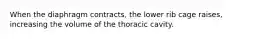 When the diaphragm contracts, the lower rib cage raises, increasing the volume of the thoracic cavity.