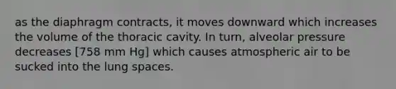 as the diaphragm contracts, it moves downward which increases the volume of the thoracic cavity. In turn, alveolar pressure decreases [758 mm Hg] which causes atmospheric air to be sucked into the lung spaces.