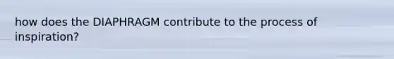 how does the DIAPHRAGM contribute to the process of inspiration?