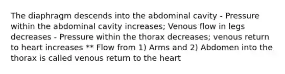 The diaphragm descends into the abdominal cavity - Pressure within the abdominal cavity increases; Venous flow in legs decreases - Pressure within the thorax decreases; venous return to heart increases ** Flow from 1) Arms and 2) Abdomen into the thorax is called venous return to the heart