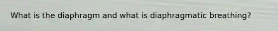What is the diaphragm and what is diaphragmatic breathing?