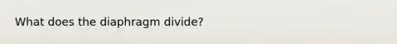 What does the diaphragm divide?