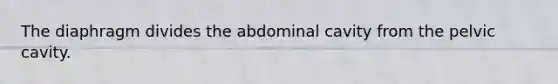 The diaphragm divides the abdominal cavity from the pelvic cavity.