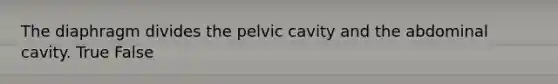 The diaphragm divides the pelvic cavity and the abdominal cavity. True False