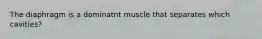 The diaphragm is a dominatnt muscle that separates which cavities?