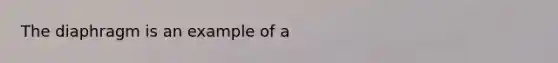 The diaphragm is an example of a