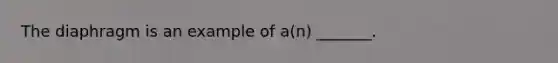 The diaphragm is an example of a(n) _______.