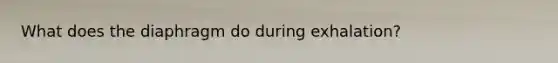 What does the diaphragm do during exhalation?